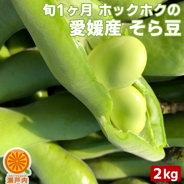 楽天市場 愛媛産 そら豆 2kg サヤ付き 送料無料 一部地域除く 愛媛県産 ソラマメ 空豆 そらまめ 国産 塩ゆでや豆ポタージュに おやつ ビール お酒のおつまみ お野菜 食品ロス コロナ おうち時間応援 産地直送 フルーツショップ 瀬戸内