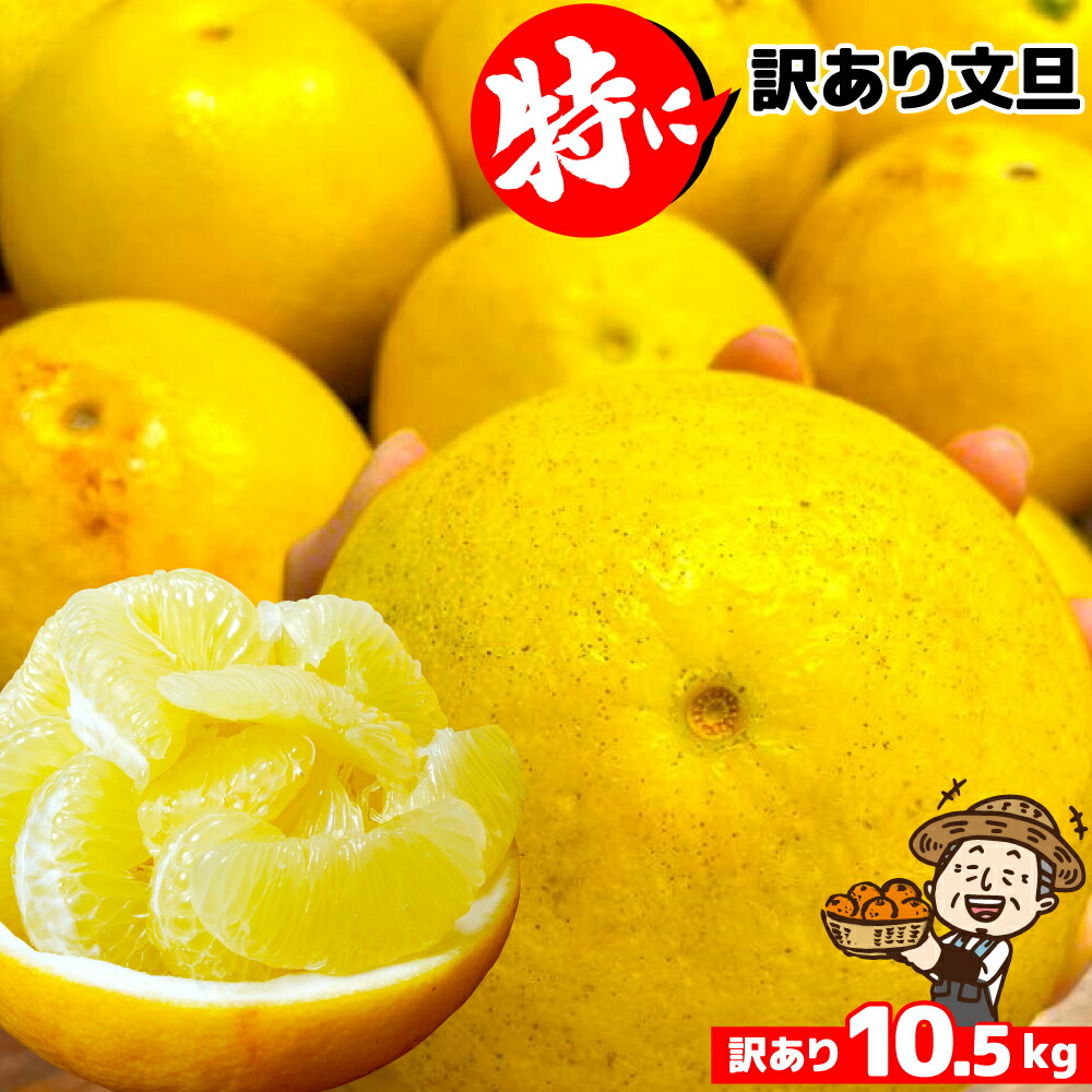 Amazon.co.jp: 土佐の旨味市場 文旦 土佐文旦 家庭用 5kg L～4L