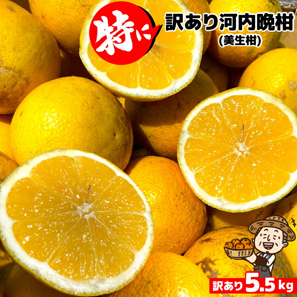 281愛媛県産 せとか 訳あり 10kg Amazon.co.jp: せとか 訳あり 10kg 家庭用 愛媛県産 大トロ柑橘