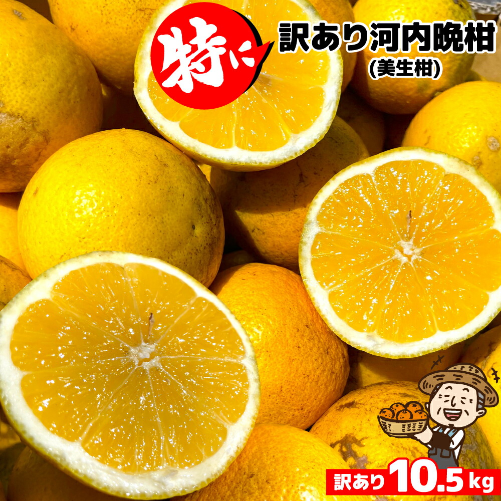 楽天市場】愛媛産 デコみかん 10kg 訳あり・不揃い【送料無料(一