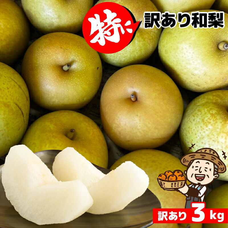 楽天市場】愛媛産 高原のすもも 訳あり 約2.8kg【クール便送料