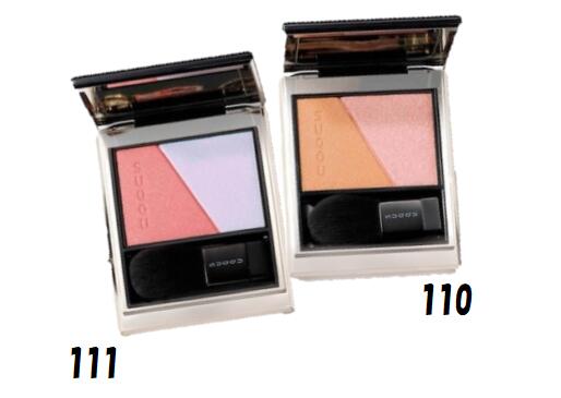 SUQQU ブラーリングカラーブラッシュ106怡色 楽天市場】【予約】【限定】SUQQU スック ブラーリング カラー