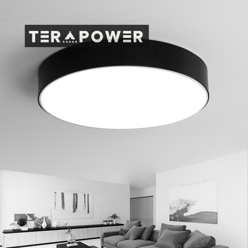 新製品モダンシンプルledシーリングランプリビングルームベッドルームクリエイティブバルコニーレストラン照明照明家の装飾ランプ