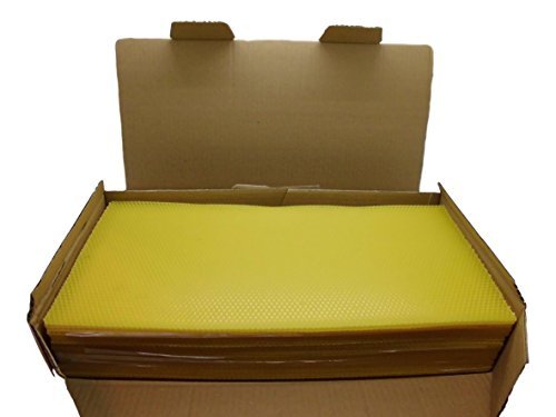 楽天市場】ダニ対策用雄蜂巣礎 完成巣枠1組 ホ式 : 俵養蜂場 楽天市場店