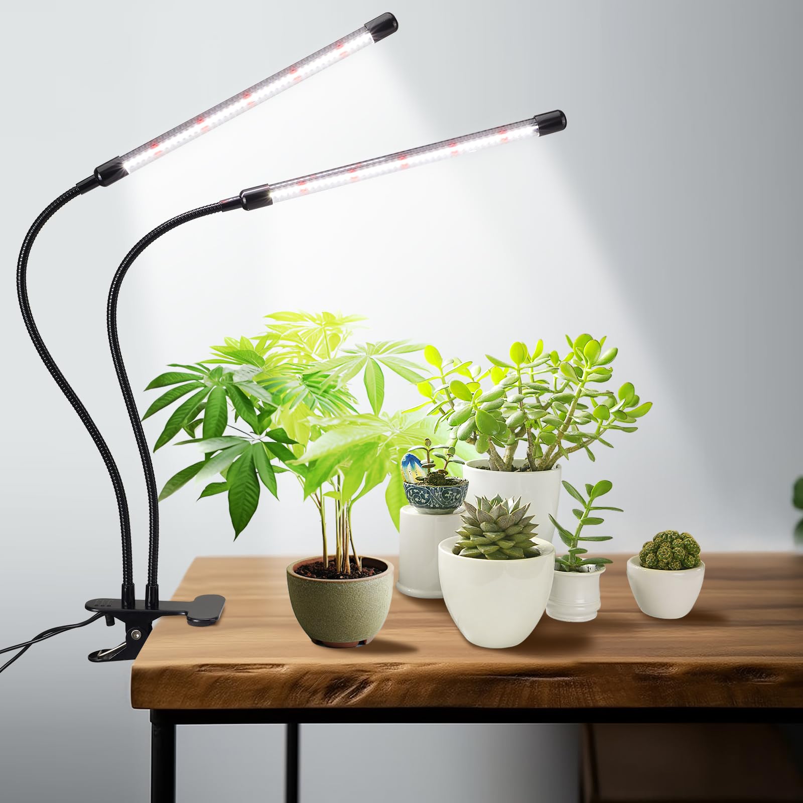 高効率LED植物成長ライト 自動タイミング機能・10段階調光・360°調節可能 Amazon.co.jp: QLM LED植物成長ライト 植物栽培ライト 自動