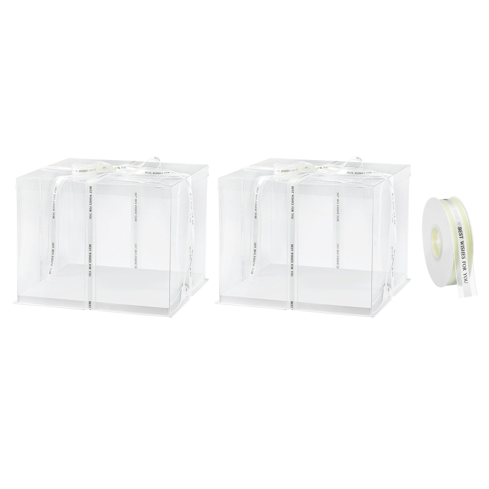 Tクリアケーキボックス 2個入り口・入口13\"x13\""x11\"" - 12\""西洋菓子 荷拵え用シュロの葉付き添い人 止ん事無い西洋菓子ボックス席 - 生まれ落ちる日寄りあいや華燭の典用（白いこと）"