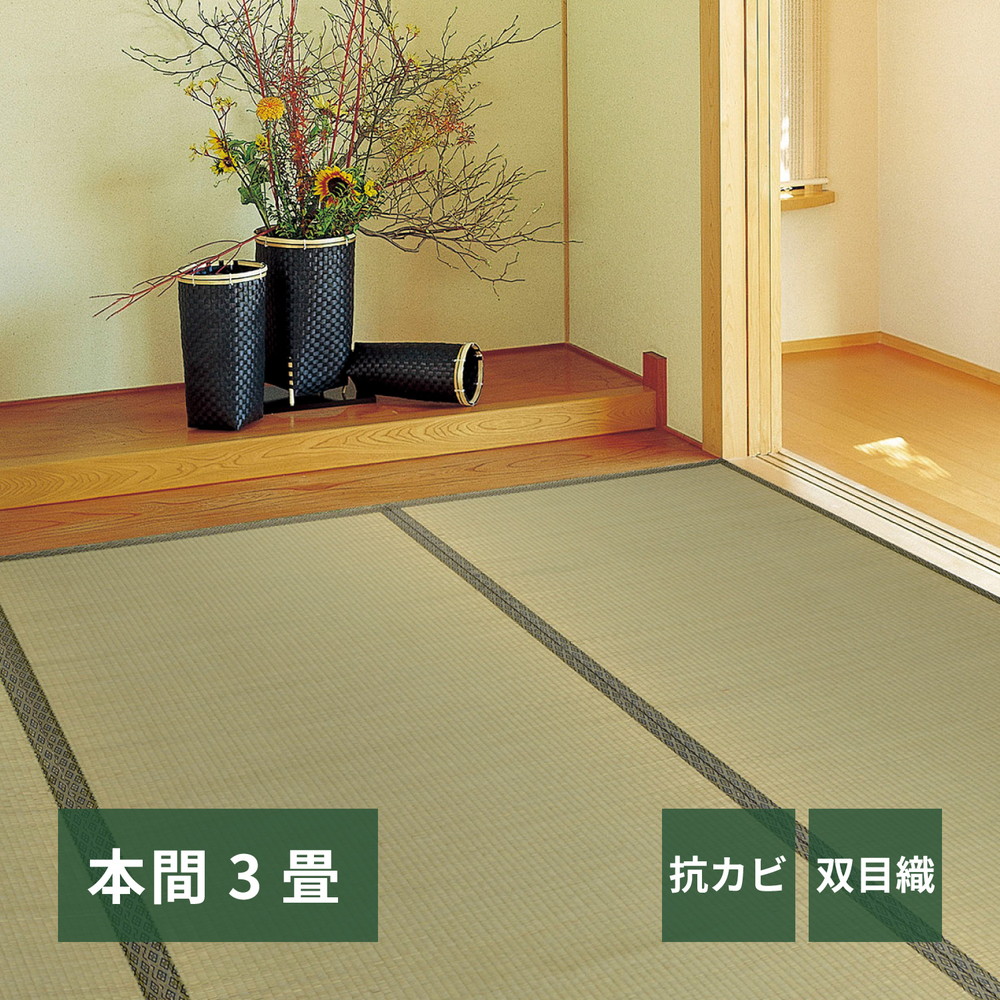 い草カーペット [柳川（やながわ）] 本間 3帖（191x286cm） グリーン