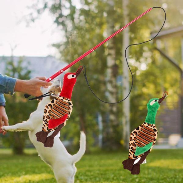 インタラクティブな犬の杖のおもちゃスティック拡張可能なティーザーキャッチャーペットエクササイズIQのためのきしむ屋内チェイスプレイを改善する|エムーエムショップ
