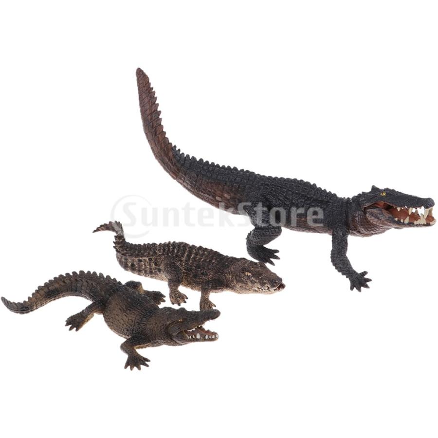 楽天市場】ワニの置物 ナイルワニ リアルな 鰐 わに 爬虫類 動物
