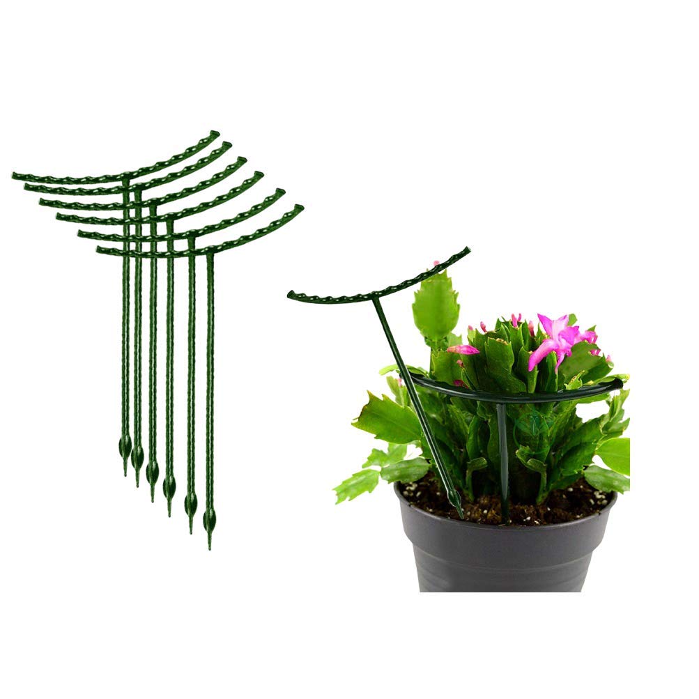(ビリット) 8個パック 植物サポート 小さな植物用 庭の花 緑の植物サポートリング プランターサポートリング シュルンベルジェラ クリビア 多肉植物 幅5.5インチ x 高さ5.9インチ｜エムーエムショップ