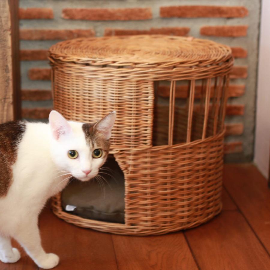 臥榻 猫 キャットハウス 上部付き添い人 丸 ラタン （ 愛玩動物棲み家 猫棲み家 愛玩動物臥榻 棲み家 籐 座布団付き添い人 フタ付き添い人 今めかしい ）