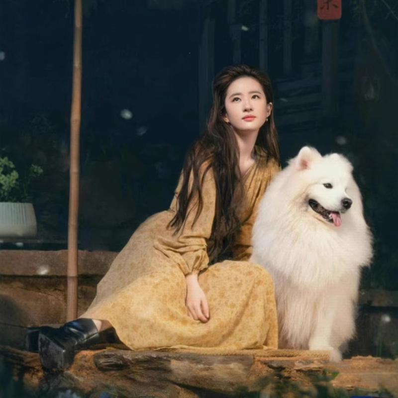 ワンピース ミディ丈 大人かわいい Vネック 長袖 ランタンスリーブ プリント柄 フレアスカート ミッドライズ 接触冷感 吸湿速乾 気質通勤 英倫スタイル ミルクベージュ ブラック 春夏 通勤用 普段使い|emuland