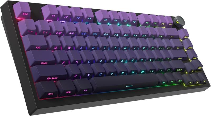 Womier WK75 ゲーミングキーボード、75%無線電話機械的、BT5.0/2.4GHz/USB-C、熱っぽい切りかえる相応う、事前木目細か済み直線的取り替えっこ、屁っ放り毛布社会システム、RGBうしろ側点火装置、トポグラフィック