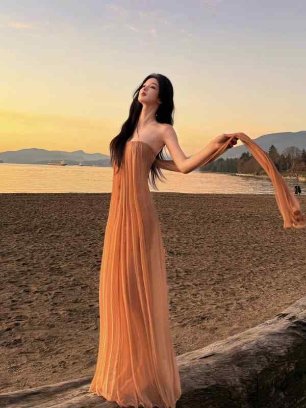 ワンピース レディース 夏 チューブトップ 仙女スカート 透け感 レース リボン フレンチスタイル ハイウエスト 修身 長丈 無袖 一字領 プルプル 抽褶 軽量 伸縮性 ポリエステル スパンデックス ブラウン ビーチ 旅行 バカンス 日常使い 気質 優雅|emuland