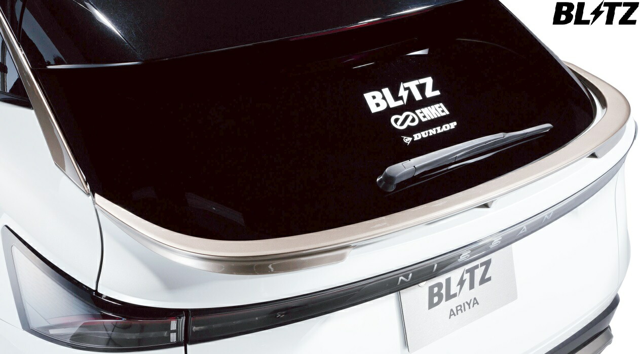 楽天市場】【M's】 日産 アリア ARIYA FE0 SNFE0 AM67 (2021.06