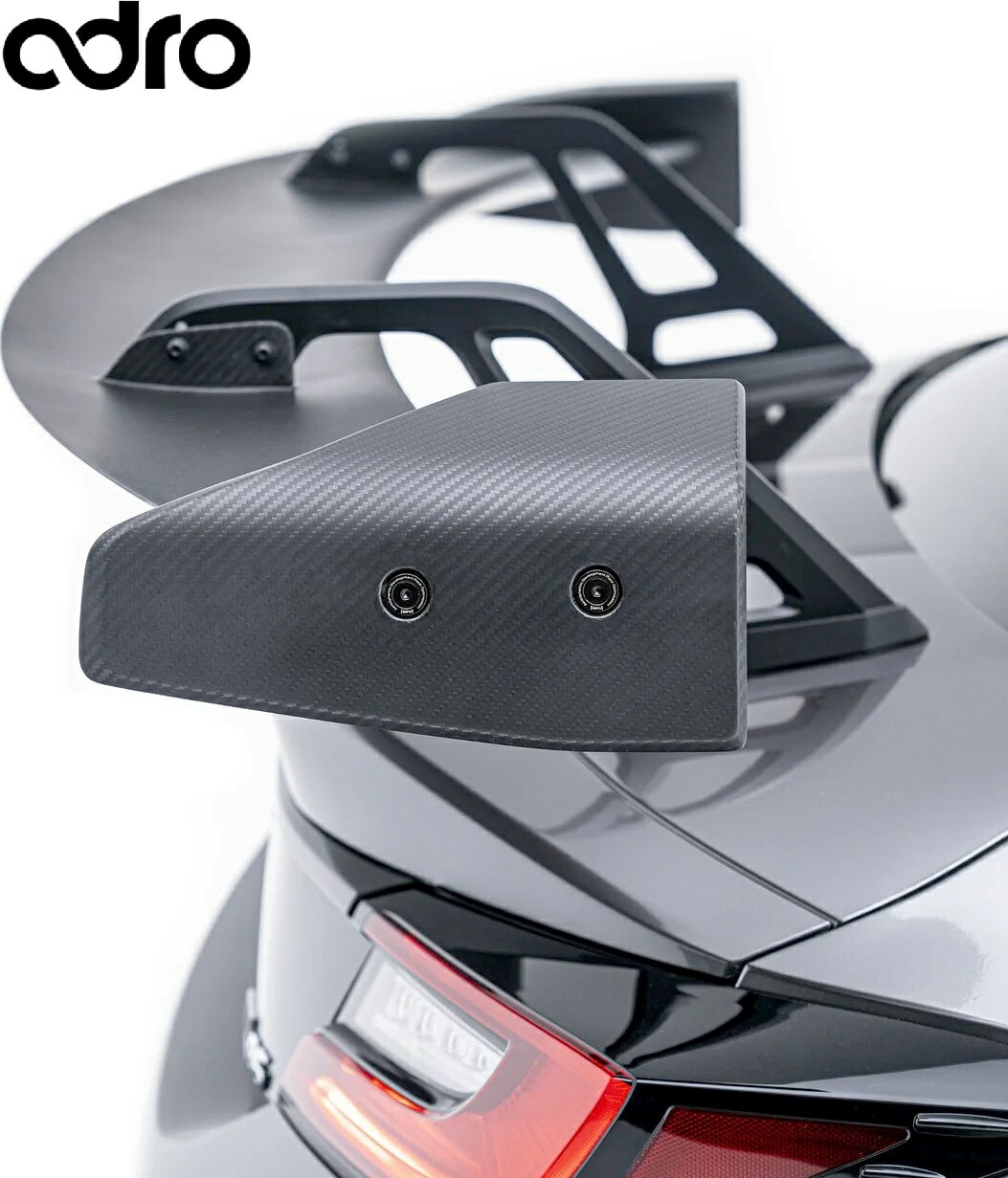 楽天市場】GTウイング 1600mm カーボン + 翼端板 B + スネーク