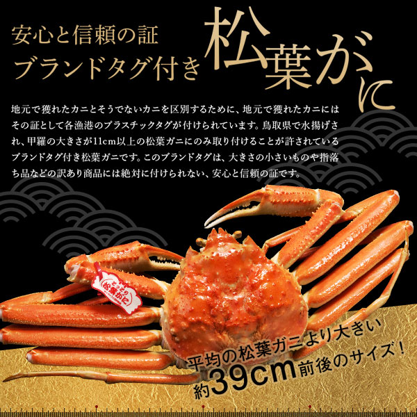 【楽天市場】鳥取県賀露港産 贈答用 浜ゆで松葉ガニ タグ付き 中（約600g）11月10日以降の発送【送料無料 着日指定不可 ズワイガニ 越前ガニ】：鳥取・島根の逸品グルメ いずも庵