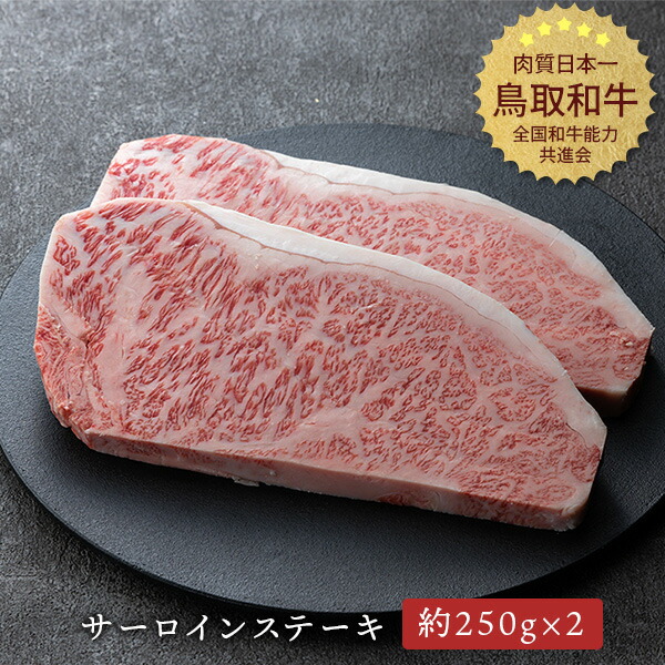鳥取和牛 サーロインステーキ 約250g×2枚 冷凍便 やまのおかげ屋