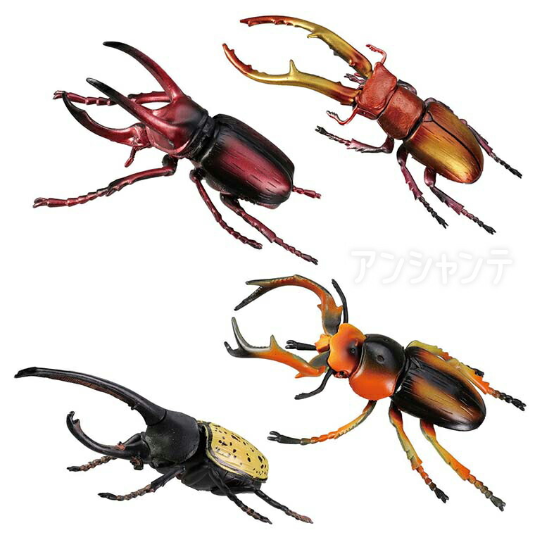 アルミラトゥス カミキリ標本 2025年最新】カミキリ 標本の人気アイテム - メルカリ