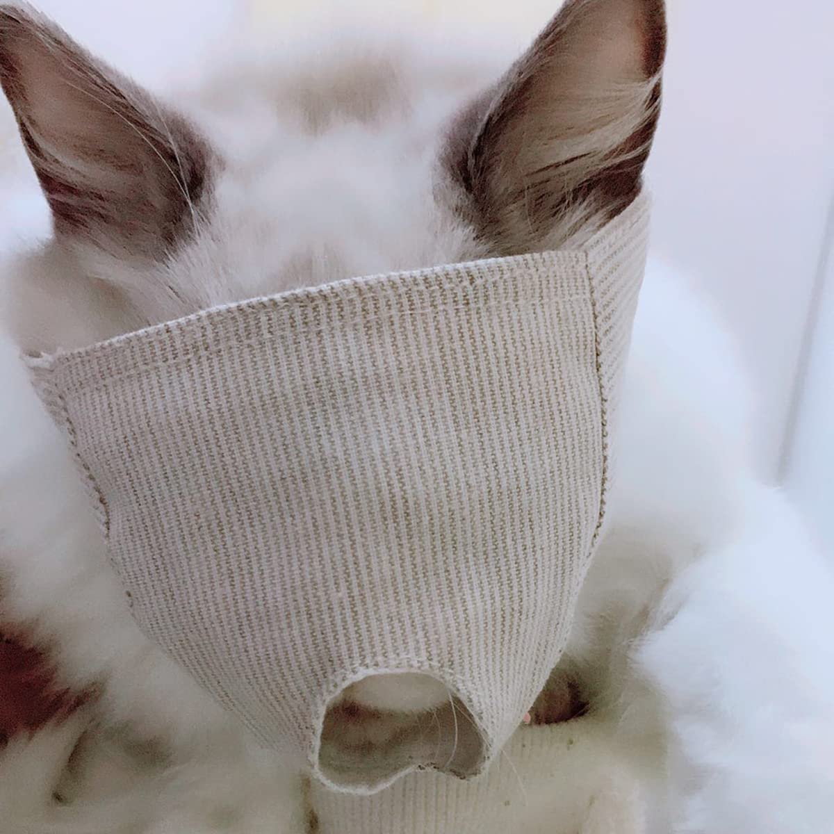猫用恍ける ネコメット 愛玩動物口輪 キャットマズル つつみ隠し表現スタイル 爪切りかばい立て具