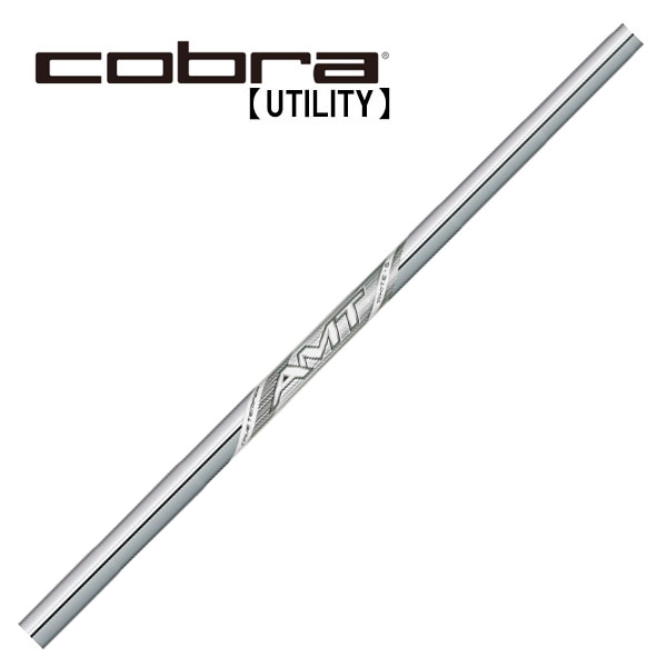 コブラ/Cobra ユーティリティ スリーブ装着シャフト TRUE TEMPER トゥルーテンパー 新 AMT WHITE AMT ホワイト｜エンデバーゴルフ