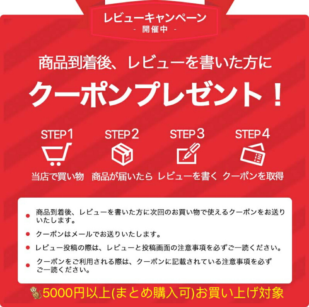 国内正規品シリアルNO付】【保証付】【500円クーポン発行中】ベレガ 