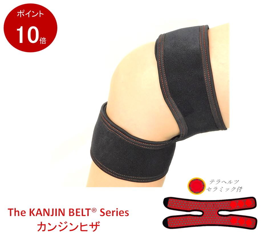 楽天市場】[公式] 腰W【KB-02W】【ポイント10倍】【送料無料】 腰用