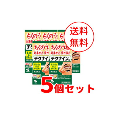 【第2類医薬品】 【送料無料！5個セット！】【小林製薬】 チクナインちくないんb224錠
