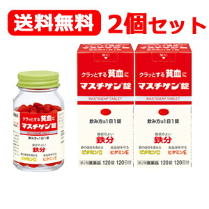 【第2類医薬品】【送料無料！】 [2個セット]【日本臓器製薬】マスチゲン錠 120錠×2個セット 7,568円