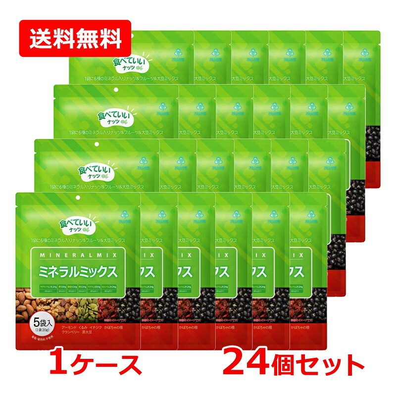 【1ケース・送料無料・24個セット】【3G CARE】スリージーケア ミネラルミックス 100g（20g×5袋）×24セット 黒大豆 イチジク かぼちゃの種 ミネラル 豊富 ナッツミックス アーモンド くるみ かぼちゃの種 黒大豆 イチジク クランベリー