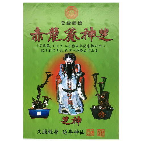 【貨物輸送無料!!】【CSN】 赤龍養神芝 濃化水溶液：30g（1袋）100袋【思わしい食料雑貨類】[fs01gm][fs01gm]