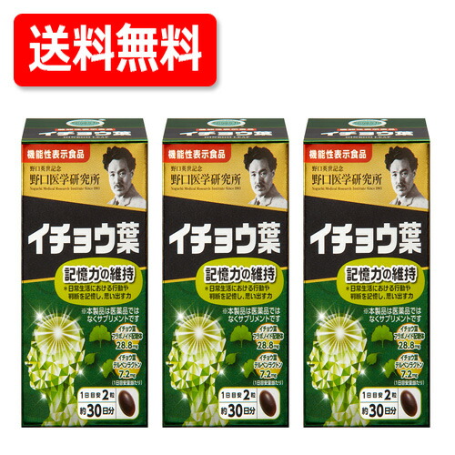 【送料無料!!】【3個セット!!】 野口医学研究所 イチョウ葉 （510mg×60粒）約30日分×3個セット 機能性表示食品（H220）