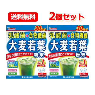 楽天市場】山本漢方製薬 送料無料 大麦若葉粉末100％ お徳用