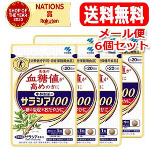 【電子メール便・貨物輸送無料・6個仕掛ける】【小林製薬】サラシア10060粒 【一種独特健康方用食料雑貨類】