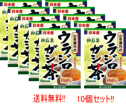 上質で快適 山本漢方 10個セット ウラジロガシ茶 100 5g 包 10個セット リニューアルパッケージ エナジードラッグ 全国宅配無料 Logisticegypt Com