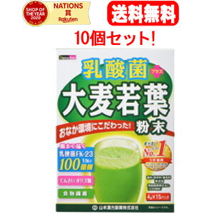 乳酸菌+大麦若葉 スティックタイプ(4g×30包)×10個セット