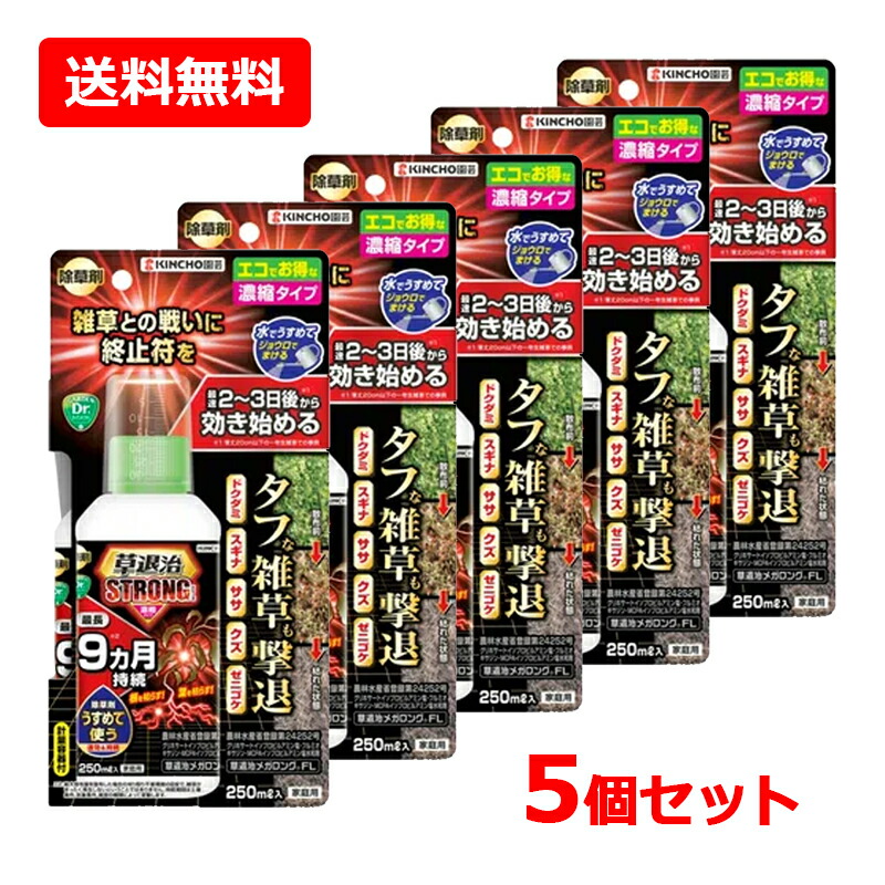 4/15限定！最大100％Pバック＆1,000円OFFクーポンさらに全品2％OFFクーポン!【送料無料・5個セット】 【KINCHO園芸】草退治ストロングシリーズ 濃縮タイプ 250ml×5セット 草退治メガロングFL 雑草 除草剤 無臭タイプ ドクダミ スギナ ササ クズ ゼニゴケ