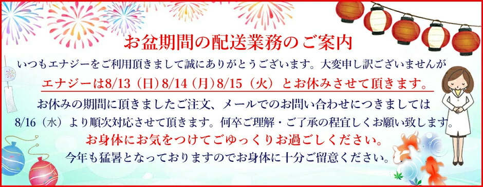 【送料無料・メール便】【セネファ】せんねん灸の奇跡 ソフト 200点入 煙の出ないお灸 エナジードラッグ