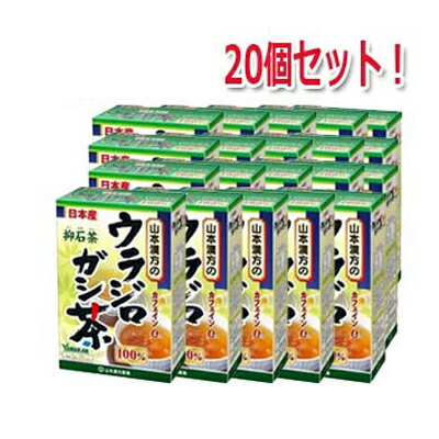 【20個セット】【山本漢方】 ウラジロガシ茶 100% 5g×20包【リニューアルパッケージ!】|エナジードラッグ