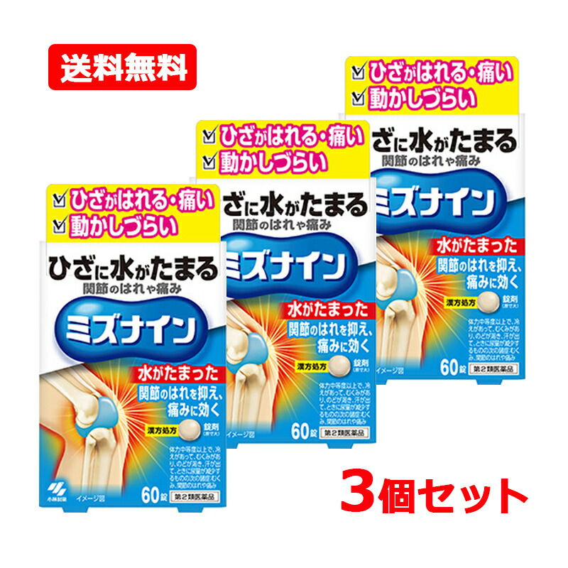 【第2類医薬品】【送料無料・3個セット】小林製薬 ミズナイン 60錠×3セット 錠剤 漢方処方 ひざの痛み はれ 越婢加朮附湯 えっぴかじゅつぶとう エッピカジュツブトウ
