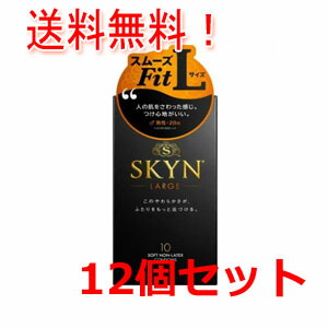 12個書き割り 貨物輸送無料！不二ラテックス アイアールSKYNラージ10個入り口・入口×12個書き割りskyn(ひと肌) premium SKYN10個 skyn10個SKYNラージ skyn ラージ