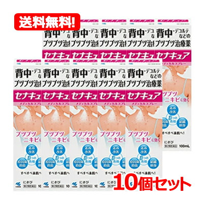 【第2類飲み薬】【貨物輸送無料！！】【小林製薬】セナキュア １００竓10個書き割り