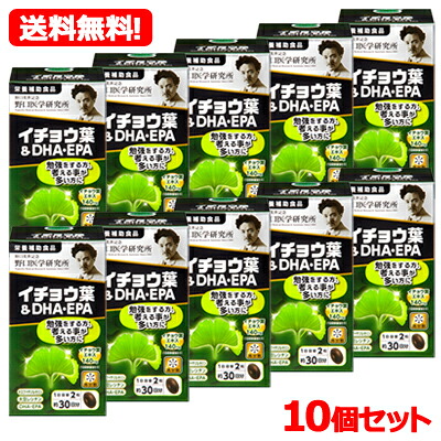 【送料無料!10個セット】【野口医学研究所】イチョウ葉&DHA・EPA(510mg×60粒)約30日分×10セット 【栄養補助食品】|エナジードラッグ
