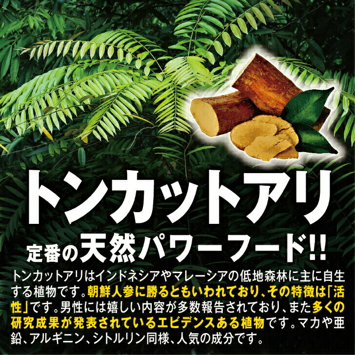 市場 お得な2個セット 冬虫夏草 侍 トンカットアリ カンカ