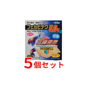 【第2類医薬品】 【まとめ買い！5個セット】【テイコクファルマケア】 オムニードFBプラスターα 40枚×5個