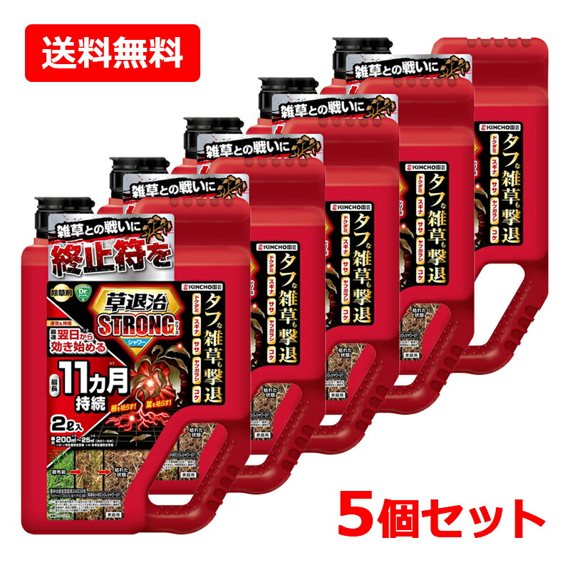 【貨物輸送無料・5個仕掛ける】《 KINCHO園芸 》 草失くする 同盟罷工ロング つづき物 シャワー 2L×5仕掛ける徳用 除草剤 庭 ガーデニング 最長11ヵ月守りつづける 雑草 キンチョー 園芸薬剤・植物活性剤-除草剤-花・ガーデン・DIY