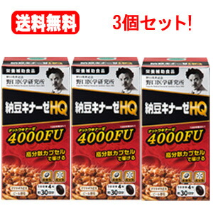 送料無料！3個セット！野口医学研究所納豆キナーゼHQ(285mg×120粒)×3個