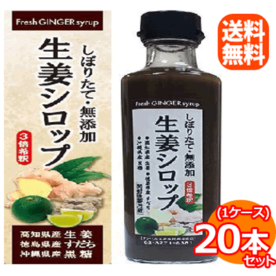 【今月限定★全商品ポイント5倍】【送料無料!1ケース】【サンヘルス】生姜シロップ 275ml×20本【同梱不可】ジンジャーシロップGingersyrup|エナジープラス