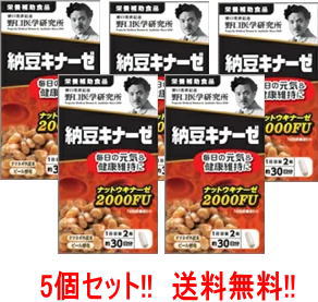 【貨物輸送無料！ 5個仕掛ける！】野口医術科学研究所 納豆キナーゼ  (240mg×60粒) 約30日分×5個  滋養分助けること食料雑貨類