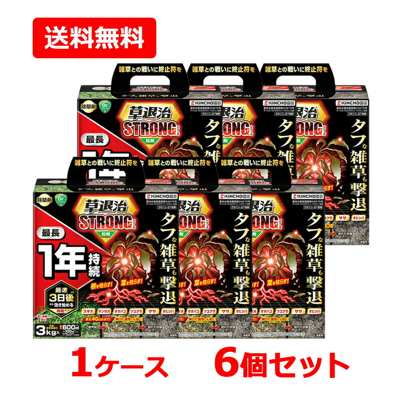 【1入れもの・貨物輸送無料・6個仕掛ける】【KINCHO園芸】草失くする同盟罷工ロング 粒剤 3kg×6仕掛ける雑草 除草剤 無臭手合い 同盟罷工ロングつづき物 粒手合い クサノンGT粒剤